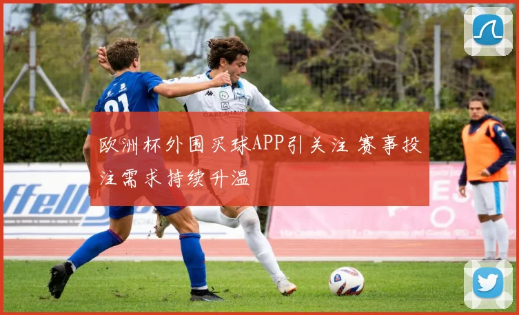 欧洲杯外围买球APP引关注 赛事投注需求持续升温