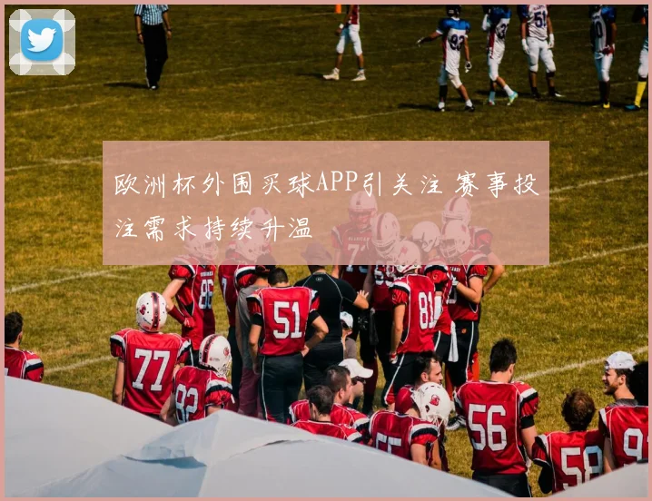 欧洲杯外围买球APP引关注 赛事投注需求持续升温